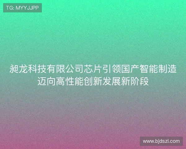 昶龙科技有限公司芯片引领国产智能制造迈向高性能创新发展新阶段